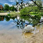Osrodek Stara Piekarnia Kajaki